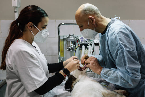 24-Hour Dental Clinic Near Me Canonsburg, PA